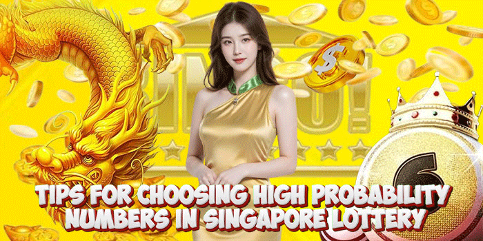 Tips For Choosing High Probability Numbers in Singapore Lottery